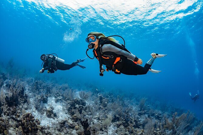 Try Dive - PADI Discover Scuba Diving in Tenerife - First-Time Scuba in Tenerife: The Real Point of This Experience