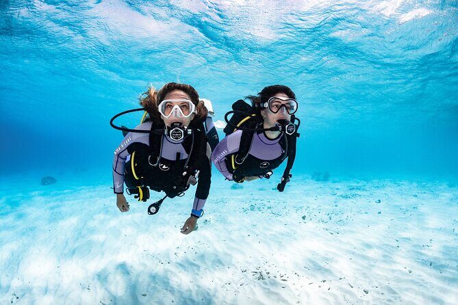 Try Dive - PADI Discover Scuba Diving in Tenerife - Your Gear, Materials, and Insurance: What the Price Actually Buys