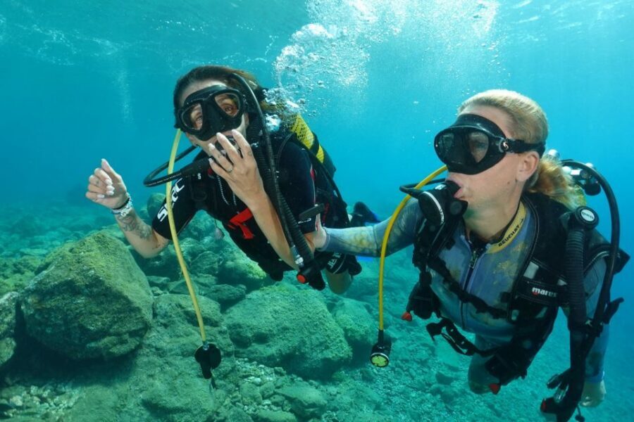Try diving for the first time in turtle area - Who Should Book This First-Time Scuba Try?