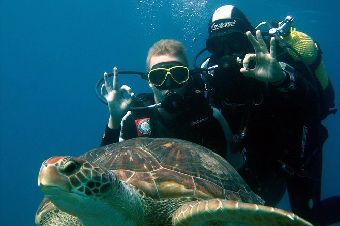 Try Scuba Diving in a turtle area (boat) - Key Things You’ll Notice Right Away