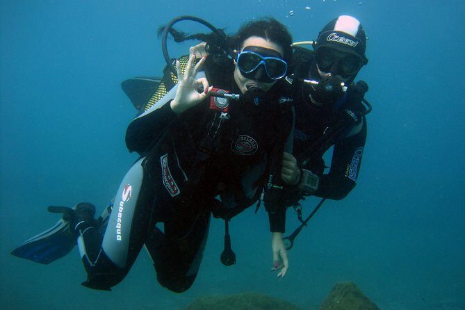 Try Scuba Diving in a turtle area (boat) - Price and What’s Included in $84.66