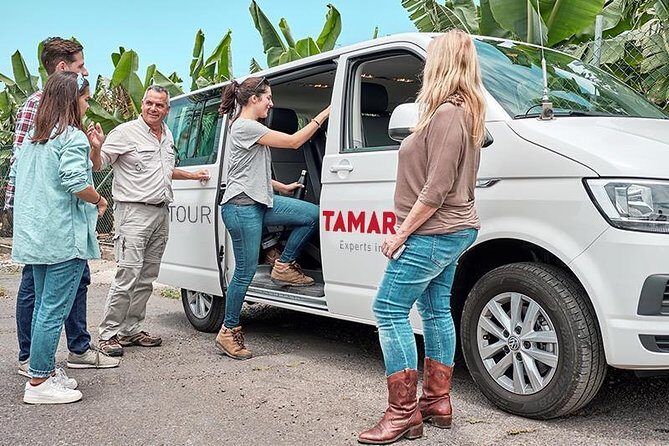 VIP Grand Tour Isla de Tenerife from South Tenerife - Key Takeaways Before You Go