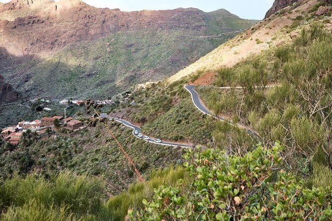 VIP Grand Tour Isla de Tenerife from South Tenerife - Garachico: Lava Aftermath and a Town That Feels Alive