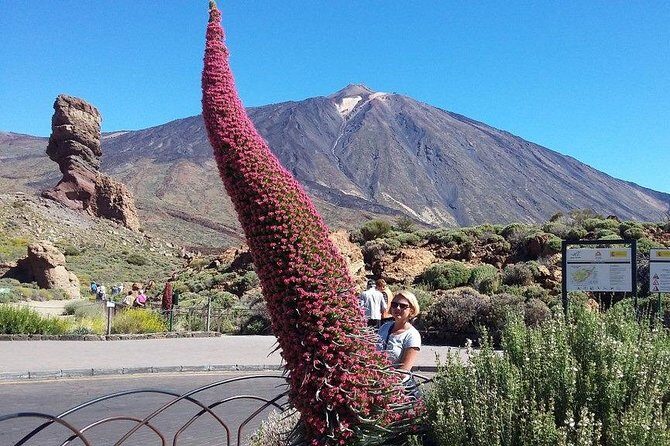 Volcano Teide - Masca ravine. Guided Tour from Puerto de la Cruz - Tenerife - Morning Logistics From Puerto de la Cruz: Pickup Works, but Read Closely