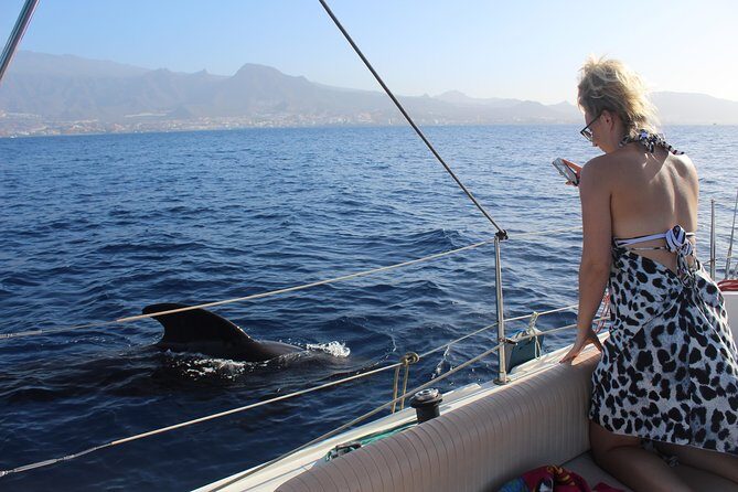 Whale and Dolphin Small Group Sailing from Tenerife South - A small-group sailing plan from Puerto Colón that feels calmer