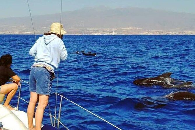 Whale and Dolphin Small Group Sailing from Tenerife South - Captain Patrick on board: humor, attention, and practical island info