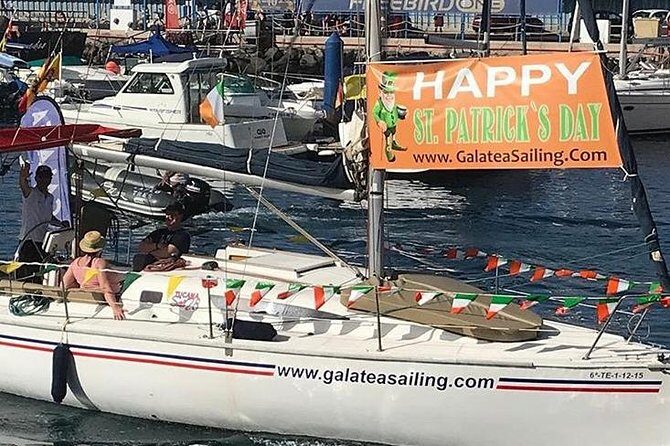 Whale and Dolphin Small Group Sailing from Tenerife South - Who this whale and dolphin sailing suits best