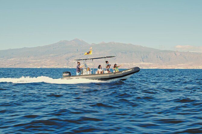 Whale and Dolphin Watching EcoAdventure in Tenerife - Hydrophone on Board: The Moment Whale Watching Turns Into Listening