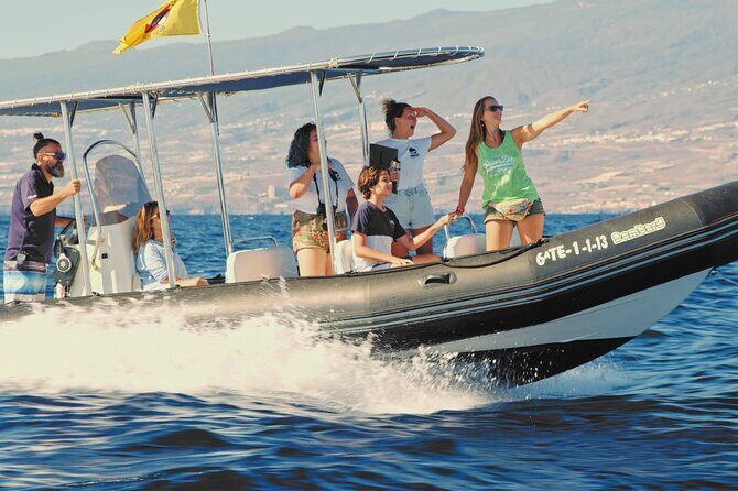 Whale and Dolphin Watching EcoAdventure in Tenerife - The Guide Factor: Why Chema’s Style Matters