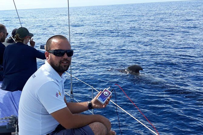 Whale and Dolphin Watching Sailing Boat with Drinks, Snacks and Swimming Time - The Swimming and Snorkeling Stop: Included Gear, Mixed Conditions