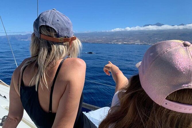 Whale and Dolphin Watching Yacht Trip in Puerto Colon - Timing Tips: Picking the Right Departure for Your Tenerife Day