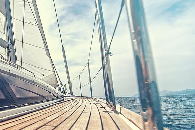 Whale and Dolphin Watching Yacht Trip in Puerto Colon - What Could Disappoint You (And How to Plan Around It)