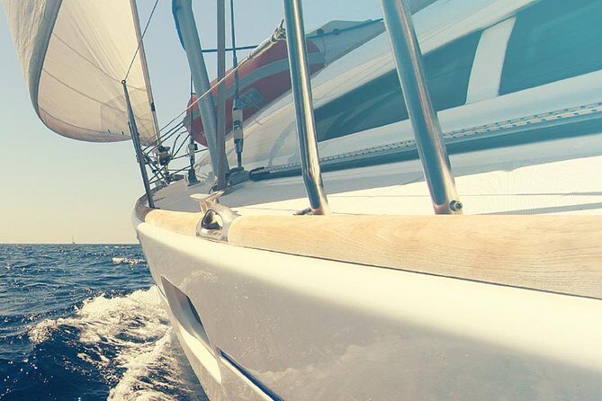 Whale and Dolphin Watching Yacht Trip in Puerto Colon - Puerto Colón Departure: What Your Morning or Afternoon Is Actually Like