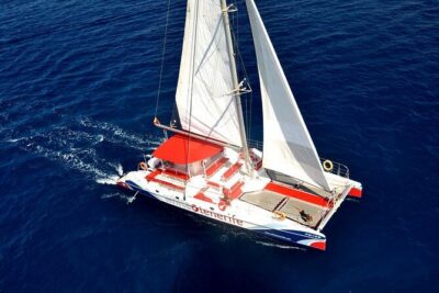 Whale watching and listening Eco-Catamaran Tour with Food Tasting - Food Tasting and Unlimited Drinks at Sea