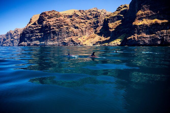 Whale watching and listening Eco-Catamaran Tour with Food Tasting - Should You Book White Tenerife’s Whale and Dolphin Tour?