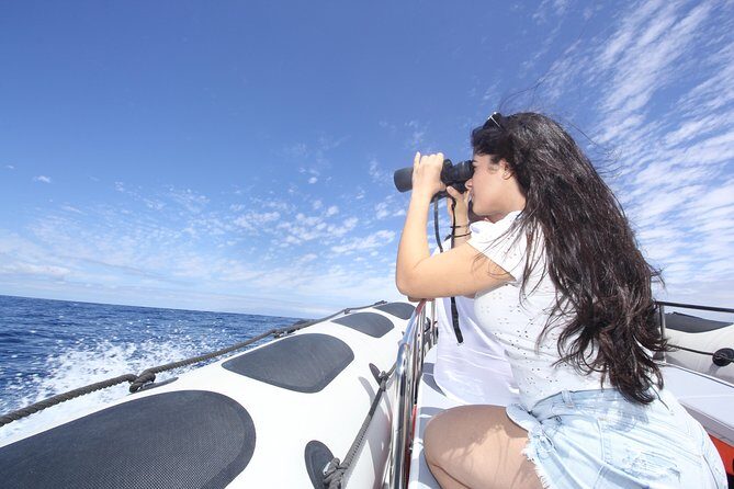 Whale Watching and Marine Science Tour - Why the 10-person limit changes the whole feel