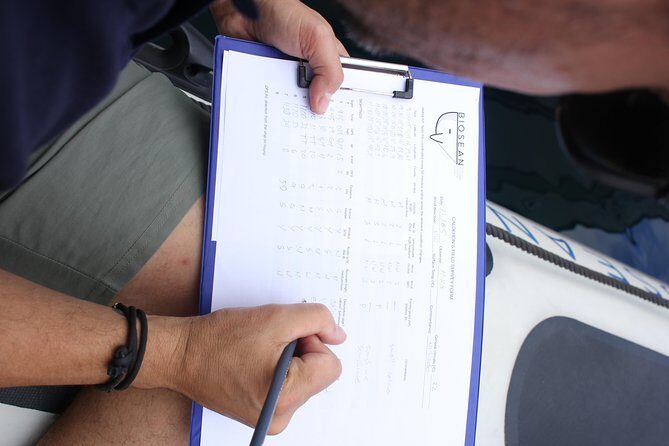 Whale Watching and Marine Science Tour - Guide names, intern support, and that good-cause feeling
