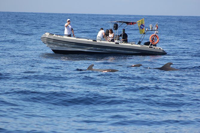 Whale Watching and Marine Science Tour - Stop by stop: Rasca lighthouse and the Malpaís de Rasca volcanic coast