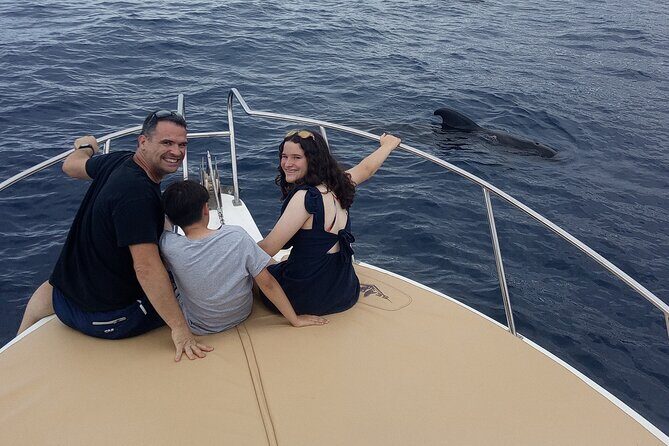 Whale watching and snorkelling in the whale sanctuary - The whale-watching game plan: pilot whales, dolphins, and what the crew is actually doing