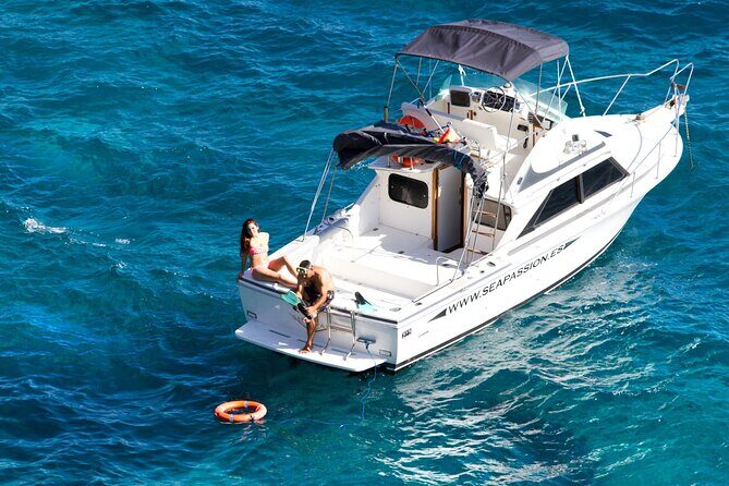 Whale watching and snorkelling in the whale sanctuary - What makes this feel special: the small group and the captain’s style
