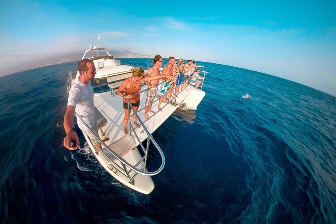 Whale Watching Catamaran Cruise with Transfer, Buffet by MC - Key things I’d focus on before you go