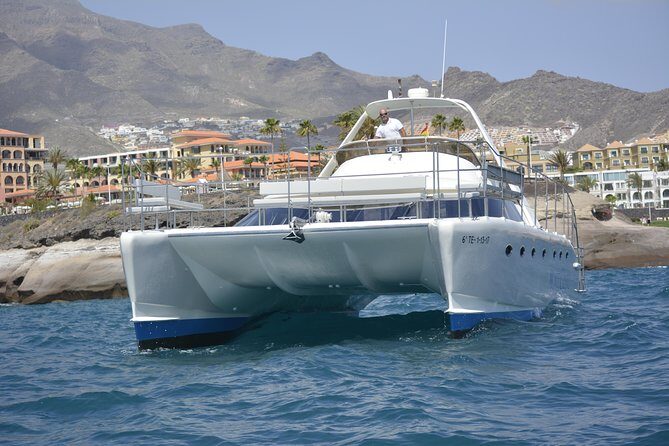 Whale Watching Catamaran Cruise with Transfer, Buffet by MC - 3 hours, half-day energy: the right format for Tenerife